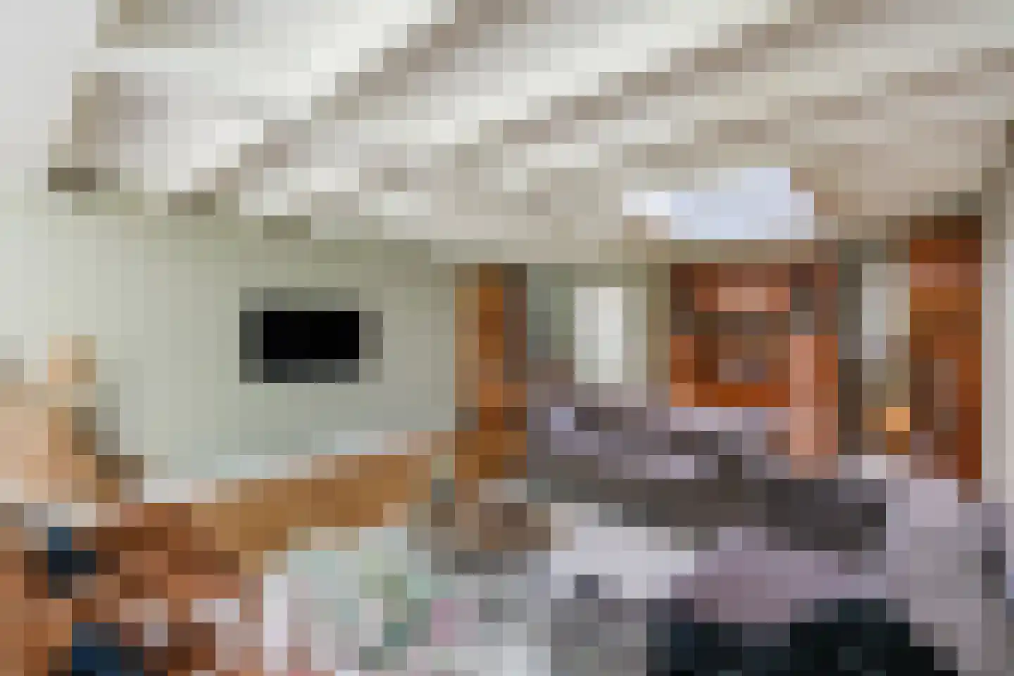 Sint Nicasiusstraat 34 Heeze thumbnail 4