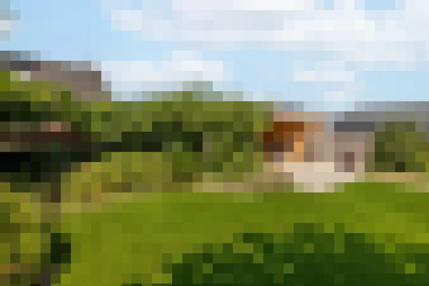 Sint Nicolaasdijk 123 Kampen thumbnail 42