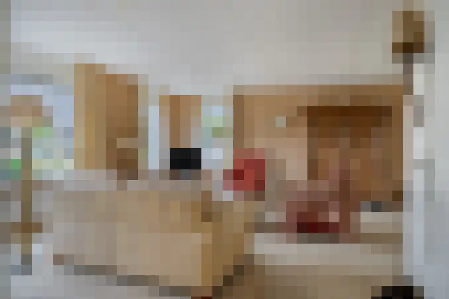 Sint Nicolaasdijk 127 Kampen thumbnail 10