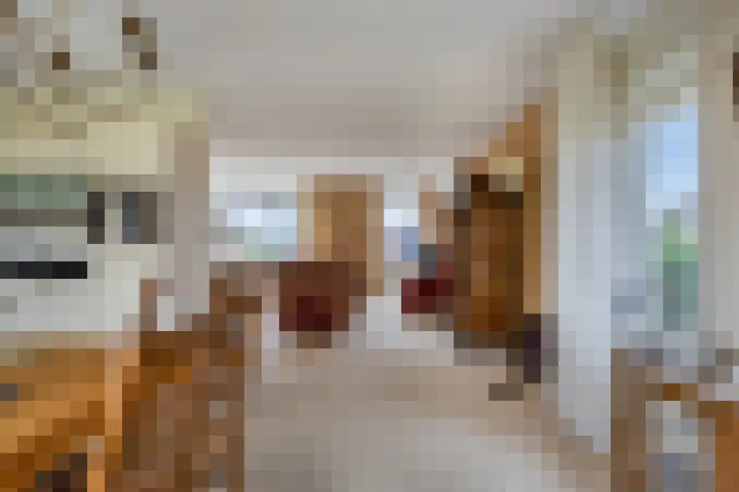Sint Nicolaasdijk 127 Kampen thumbnail 16