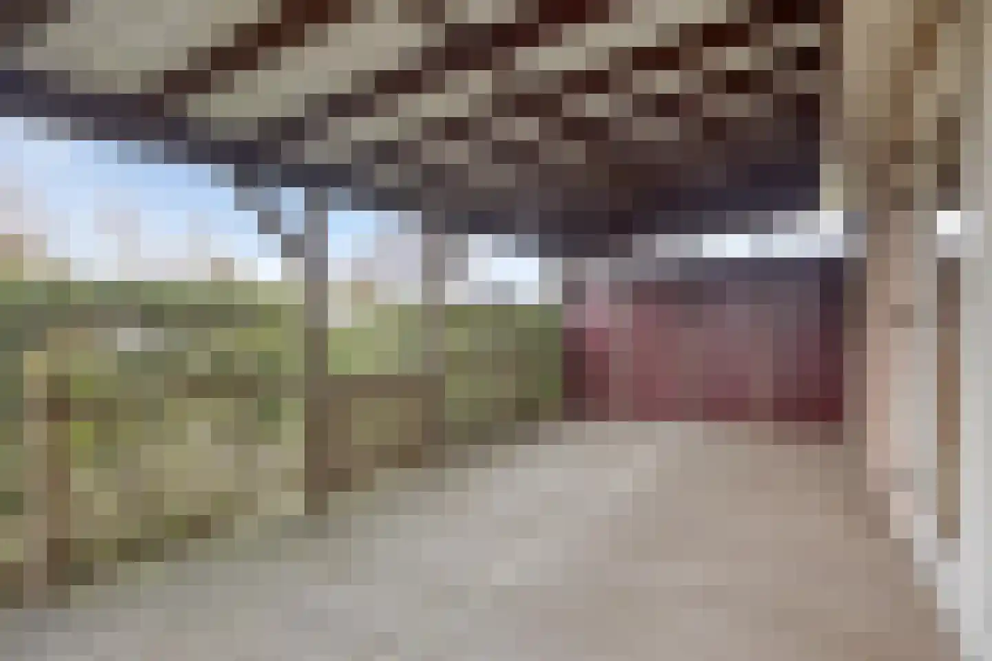 Sint Nicolaasdijk 141 Kampen thumbnail 30