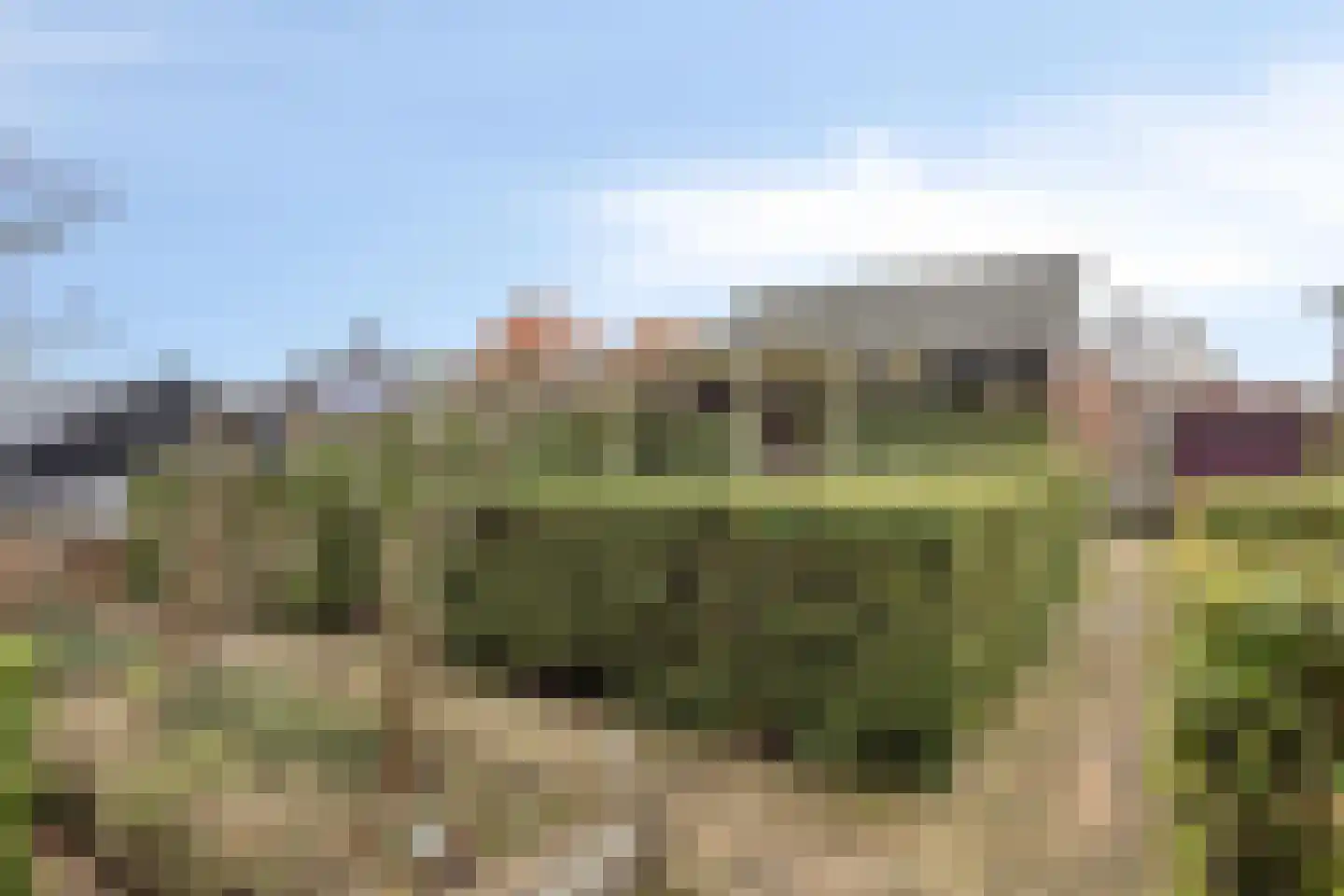 Sint Nicolaasdijk 141 Kampen thumbnail 32