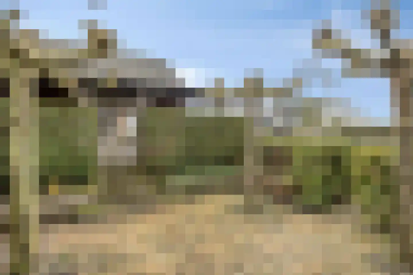 Sint Nicolaasdijk 141 Kampen thumbnail 34