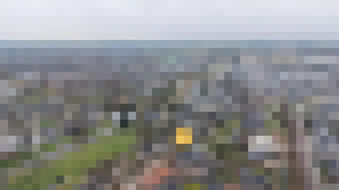 Sint Nicolaasdijk 141 Kampen thumbnail 44