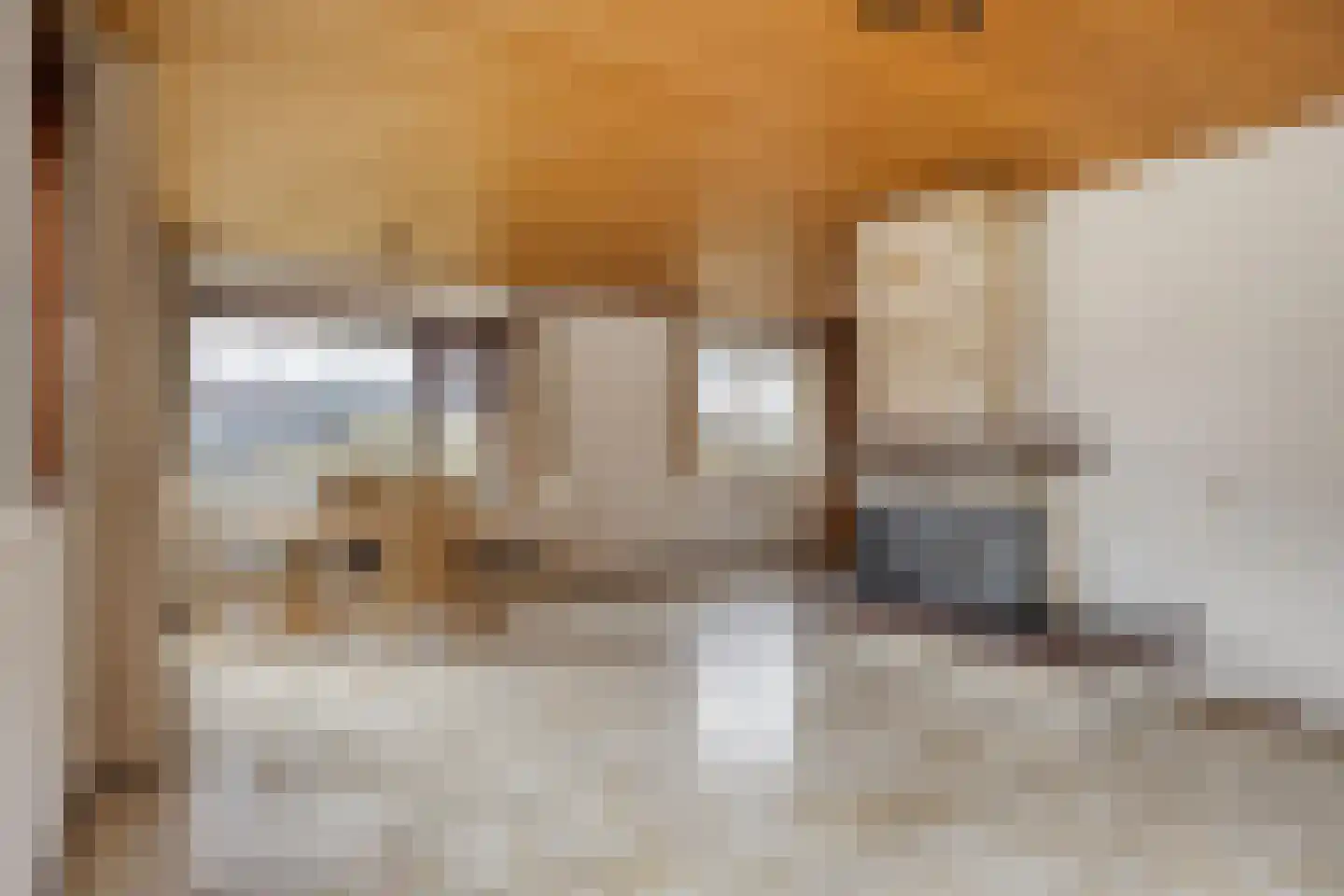 Sint Nicolaasdijk 141 Kampen thumbnail 5