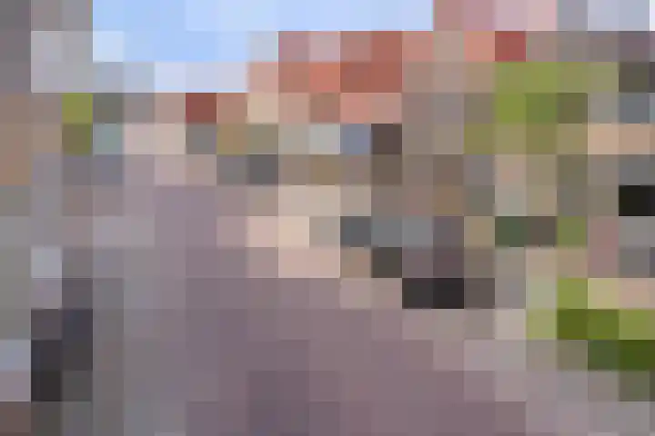 Sint Nicolaasdijk 37 Kampen thumbnail 11