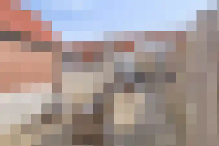 Sint Nicolaasdijk 37 Kampen thumbnail 6