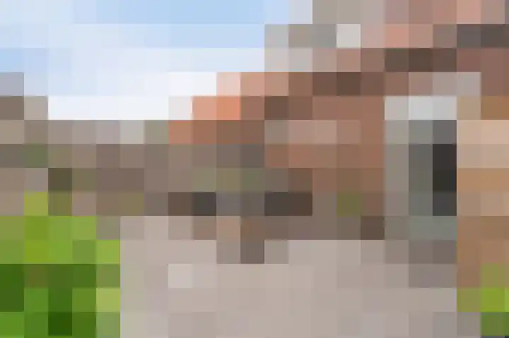 Sint Nicolaasdijk 59 Kampen thumbnail 19