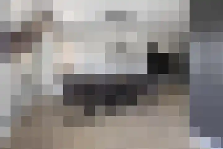 Sint Nicolaasdijk 83 Kampen thumbnail 16
