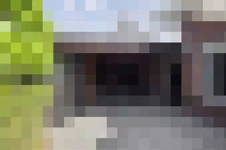 Sint Nicolaasdijk 83 Kampen thumbnail 34