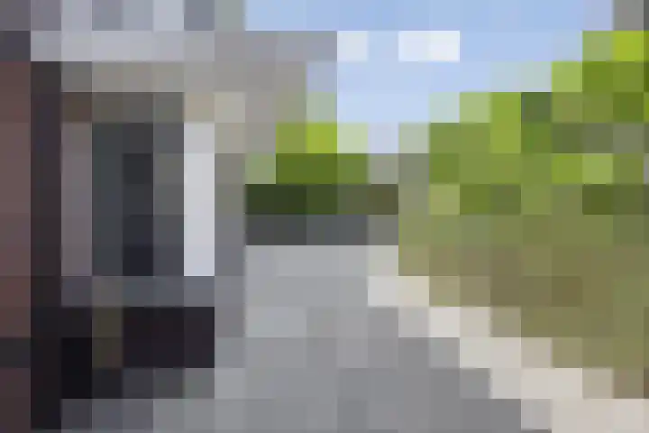 Sint Nicolaasdijk 83 Kampen thumbnail 36
