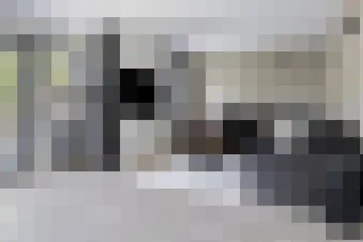 Sint Nicolaasdijk 83 Kampen thumbnail 4