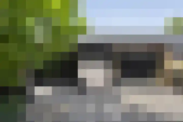 Sint Nicolaasdijk 83 Kampen thumbnail 41