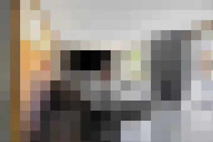 Sint Nicolaasdijk 83 Kampen thumbnail 43