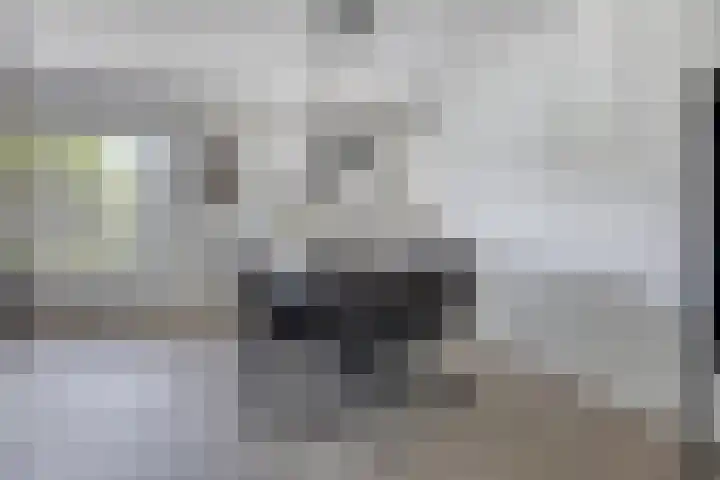 Sint Nicolaasdijk 83 Kampen thumbnail 6