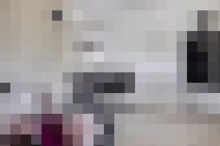 Sint Nicolaasdijk 83 Kampen thumbnail 8