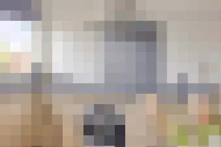 Sint Nicolaashof 15 Kampen thumbnail 12