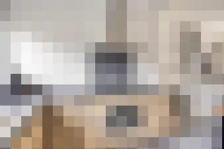 Sint Nicolaashof 15 Kampen thumbnail 14