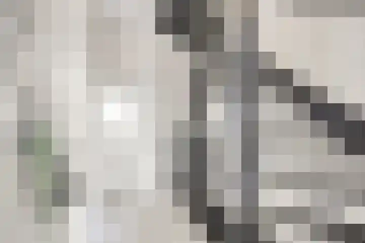 Sint Nicolaashof 15 Kampen thumbnail 17