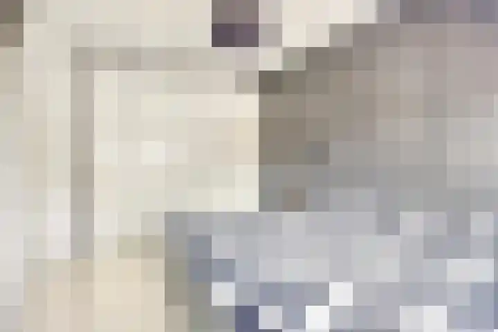 Sint Nicolaashof 15 Kampen thumbnail 19