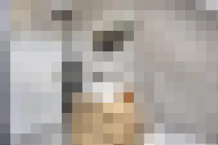 Sint Nicolaashof 15 Kampen thumbnail 22