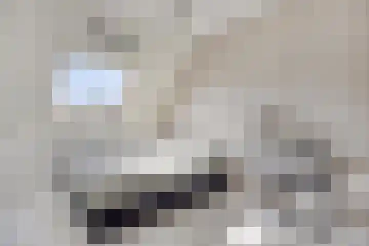 Sint Nicolaashof 15 Kampen thumbnail 25