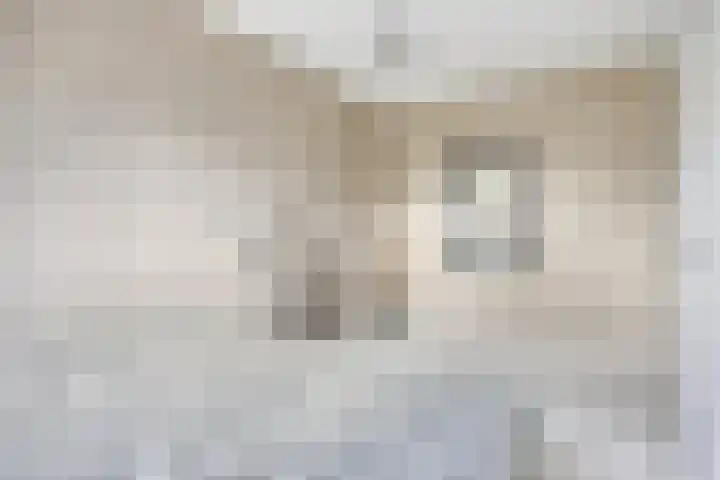 Sint Nicolaashof 15 Kampen thumbnail 26