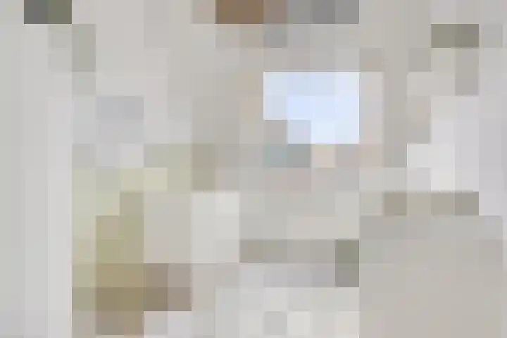 Sint Nicolaashof 15 Kampen thumbnail 27