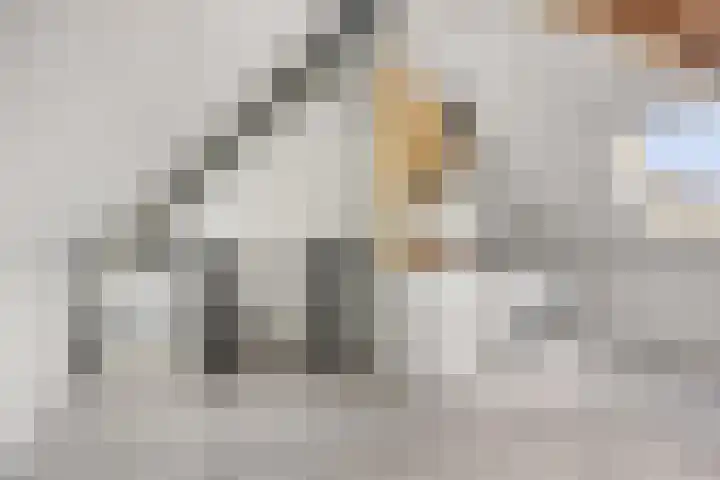 Sint Nicolaashof 15 Kampen thumbnail 28