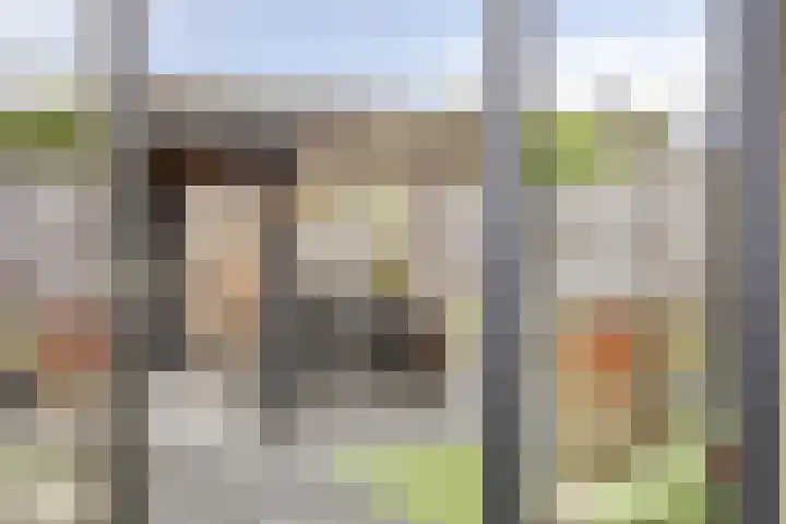 Sint Nicolaashof 15 Kampen thumbnail 30