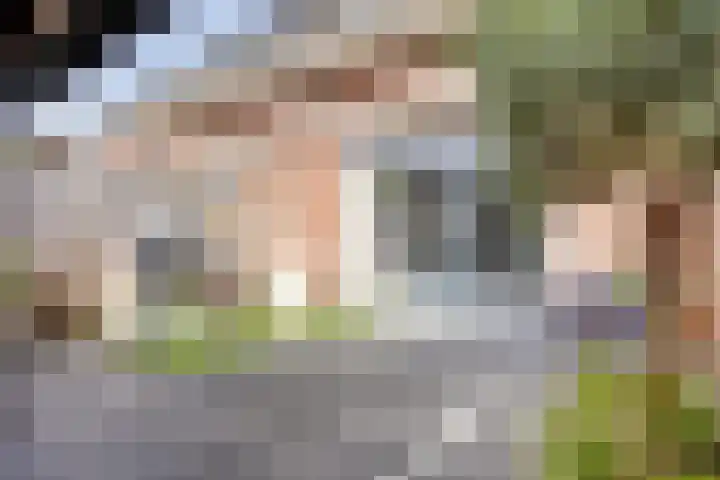 Sint Nicolaashof 15 Kampen thumbnail 33