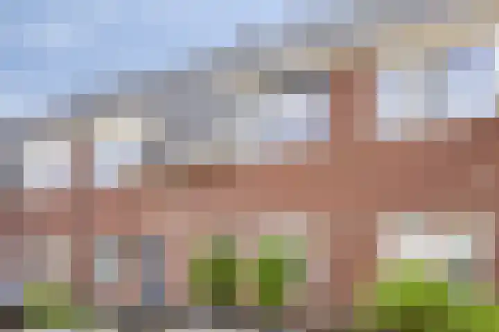 Sint Nicolaashof 15 Kampen thumbnail 37