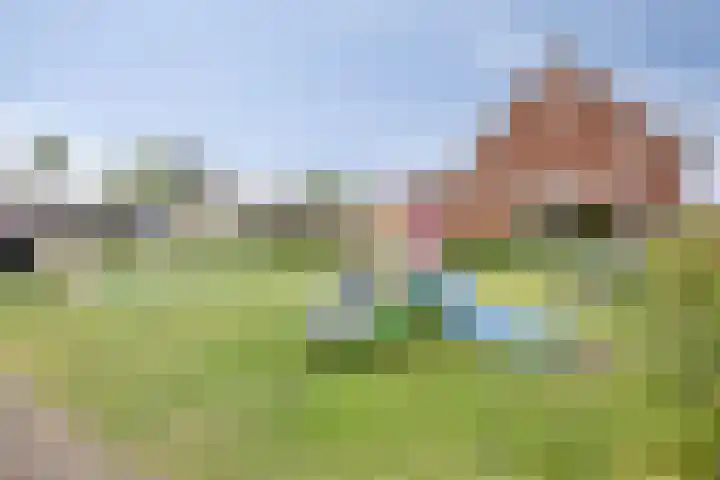 Sint Nicolaashof 15 Kampen thumbnail 38