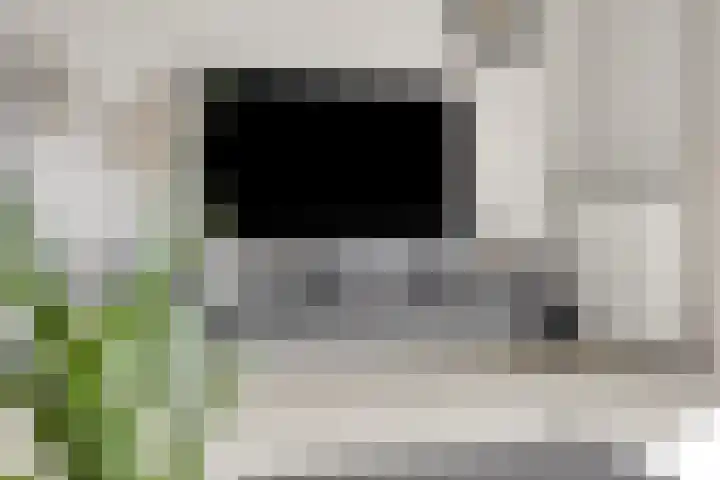 Sint Nicolaashof 15 Kampen thumbnail 6