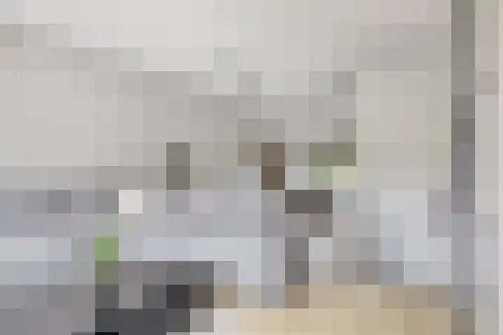 Sint Nicolaashof 15 Kampen thumbnail 7