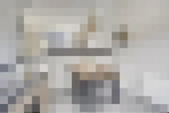 Sint Nicolaashof 15 Kampen thumbnail 9