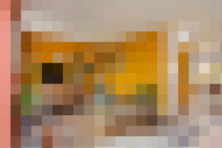 Sint Nicolaashof 8 Kampen thumbnail 13