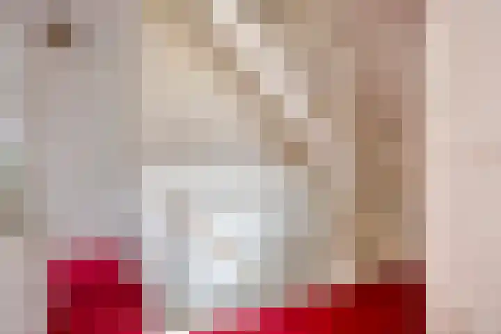 Sint Nicolaashof 8 Kampen thumbnail 20