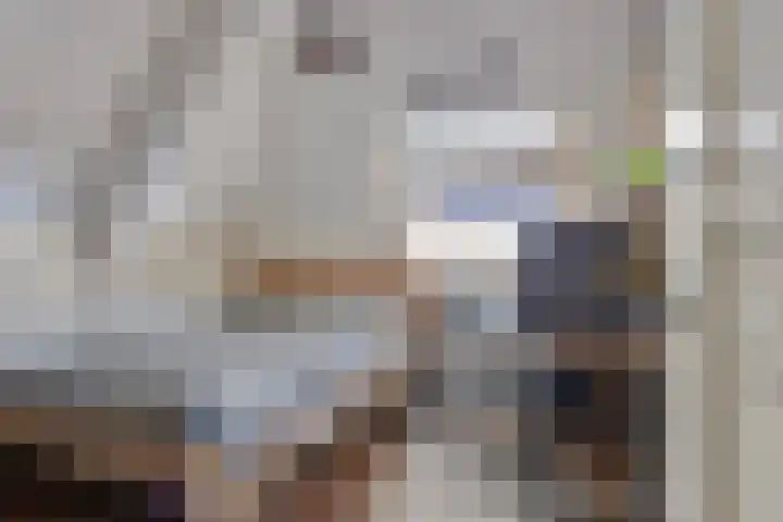 Sint Nicolaashof 8 Kampen thumbnail 25