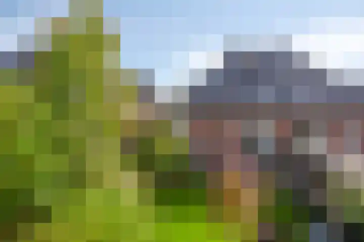 Sint Nicolaashof 8 Kampen thumbnail 28