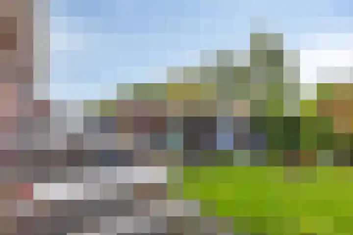 Sint Nicolaashof 8 Kampen thumbnail 29