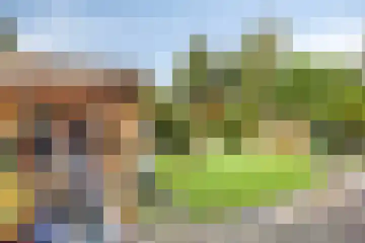 Sint Nicolaashof 8 Kampen thumbnail 30