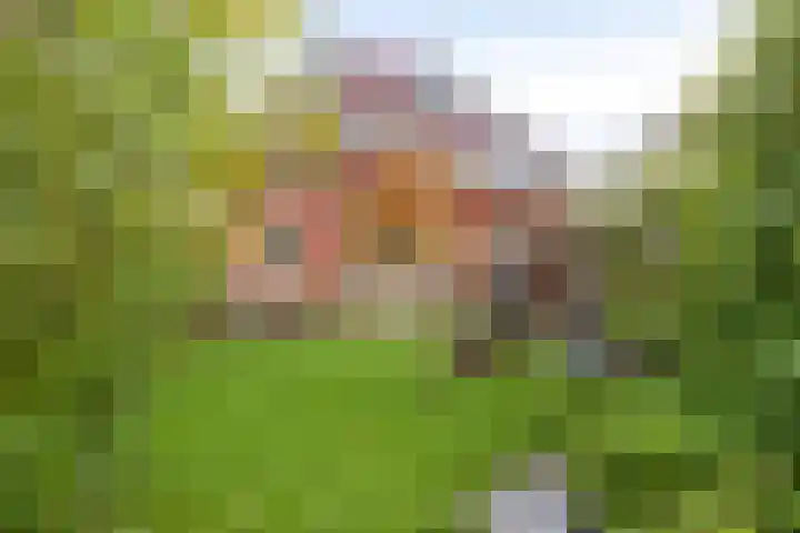 Sint Nicolaashof 8 Kampen thumbnail 33