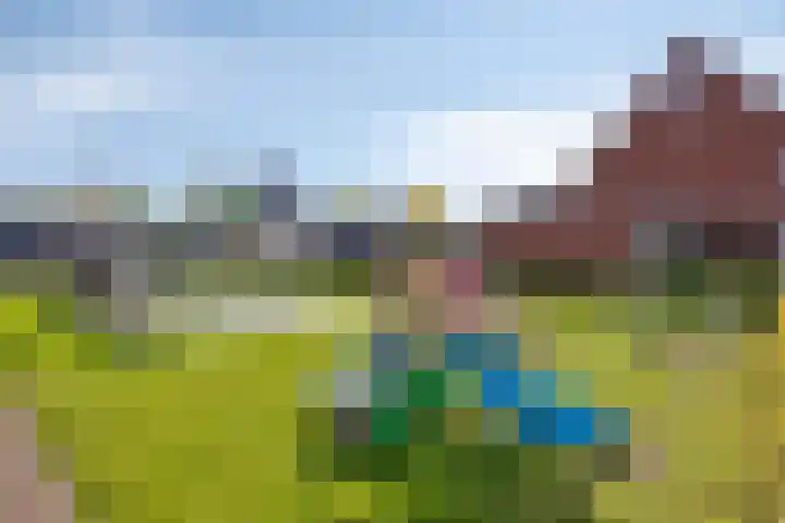 Sint Nicolaashof 8 Kampen thumbnail 35