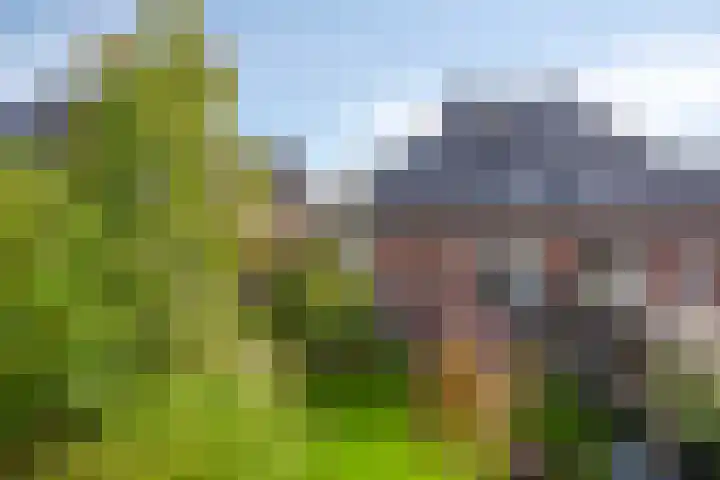 Sint Nicolaashof 8 Kampen thumbnail 5