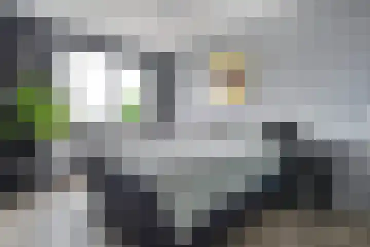 Sint Nicolaashof 9 Kampen thumbnail 16