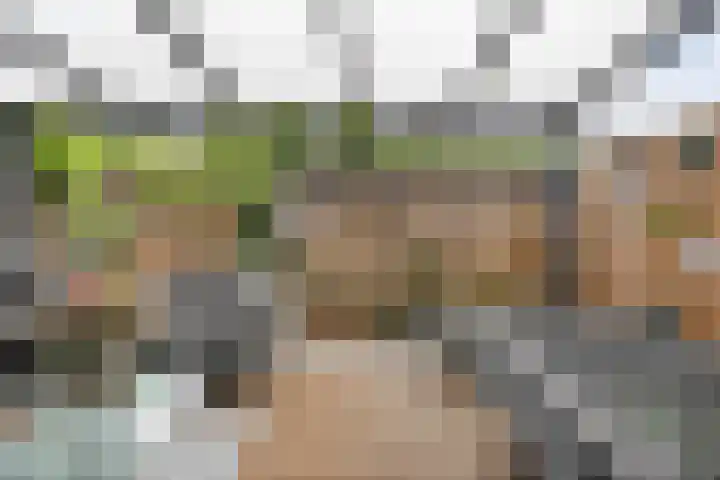 Sint Nicolaashof 9 Kampen thumbnail 26