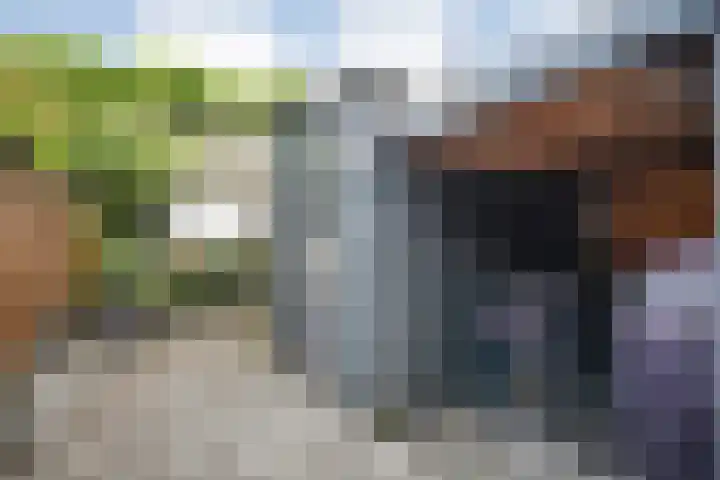 Sint Nicolaashof 9 Kampen thumbnail 28