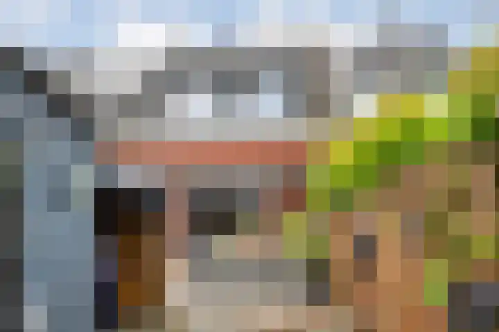 Sint Nicolaashof 9 Kampen thumbnail 29