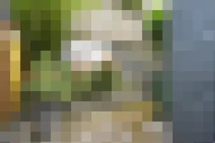 Sint Nicolaashof 9 Kampen thumbnail 30
